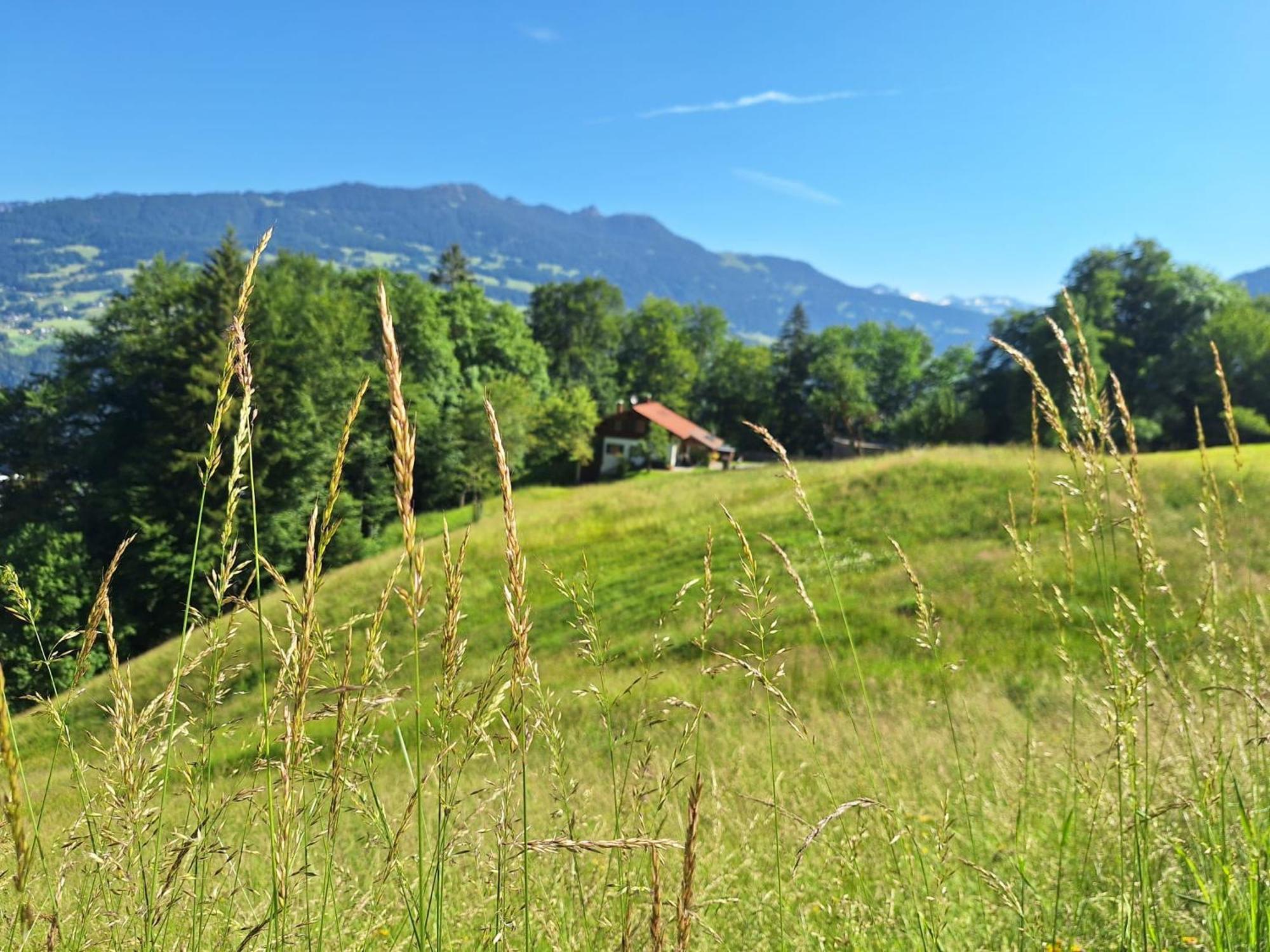 Bergmomente Montafon Ferienhaus Bitschweil Vila Tschagguns Exterior foto